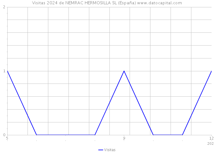 Visitas 2024 de NEMRAC HERMOSILLA SL (España) 