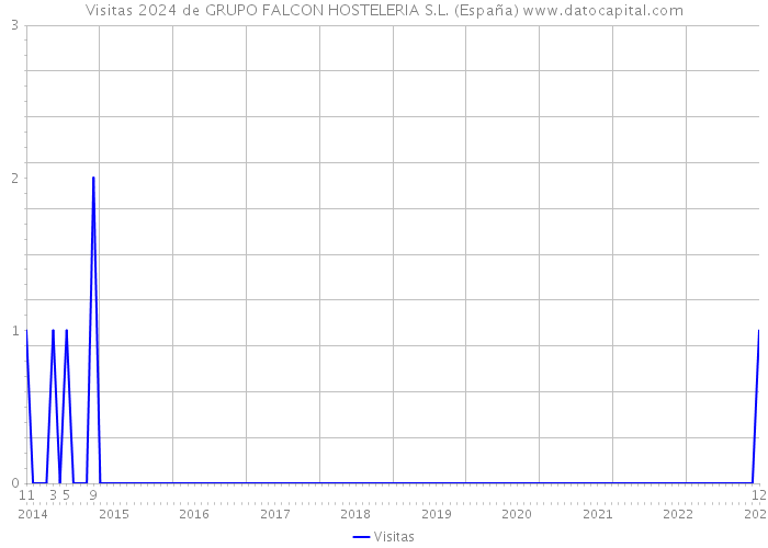 Visitas 2024 de GRUPO FALCON HOSTELERIA S.L. (España) 