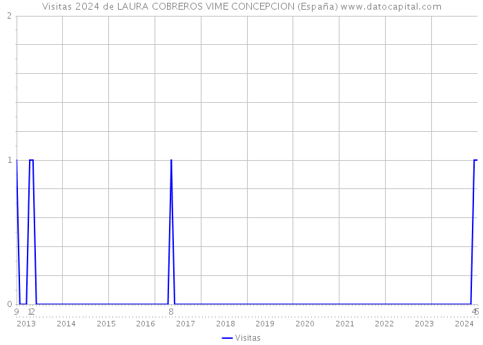 Visitas 2024 de LAURA COBREROS VIME CONCEPCION (España) 