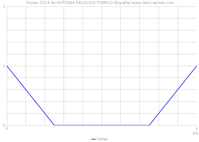 Visitas 2024 de ANTONIA PALACIOS TOMICO (España) 