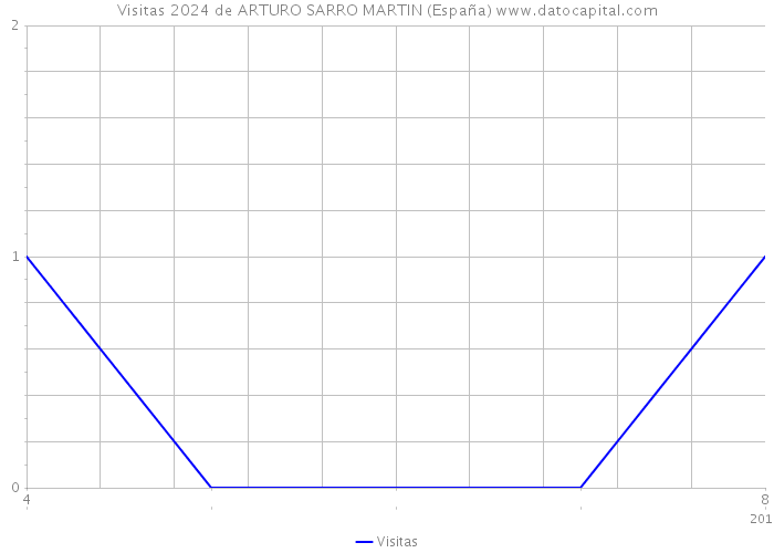 Visitas 2024 de ARTURO SARRO MARTIN (España) 