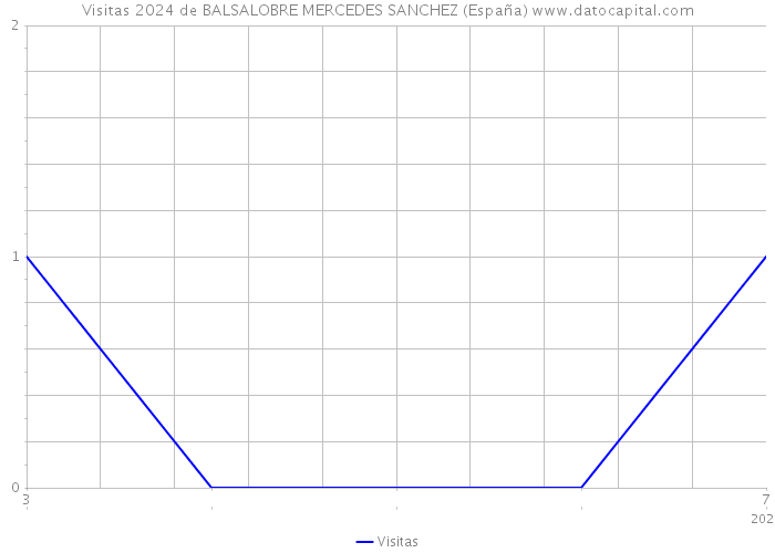Visitas 2024 de BALSALOBRE MERCEDES SANCHEZ (España) 