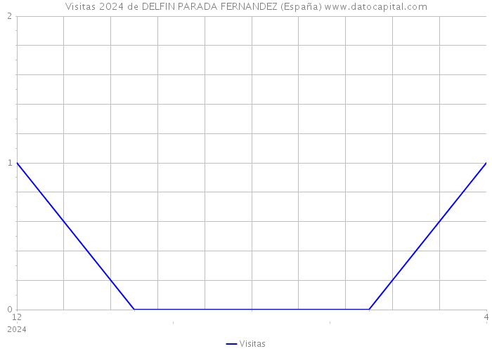 Visitas 2024 de DELFIN PARADA FERNANDEZ (España) 