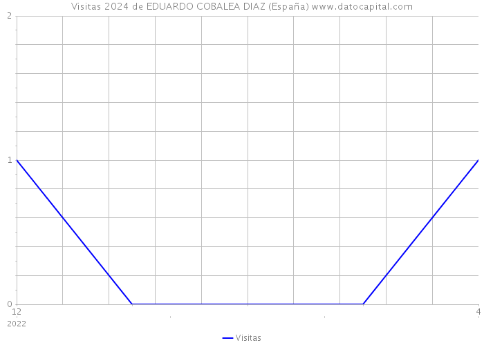 Visitas 2024 de EDUARDO COBALEA DIAZ (España) 
