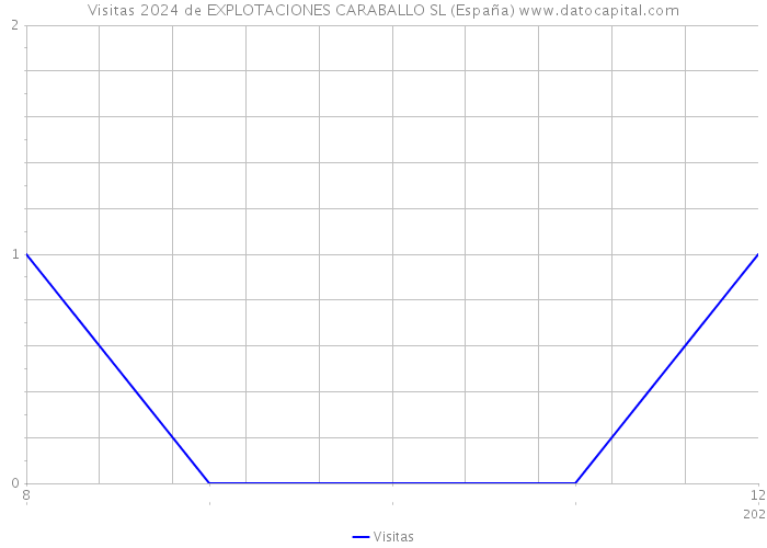 Visitas 2024 de EXPLOTACIONES CARABALLO SL (España) 