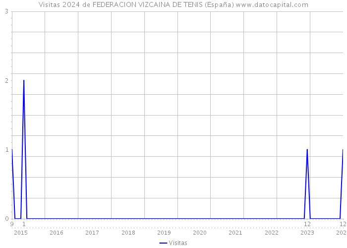 Visitas 2024 de FEDERACION VIZCAINA DE TENIS (España) 