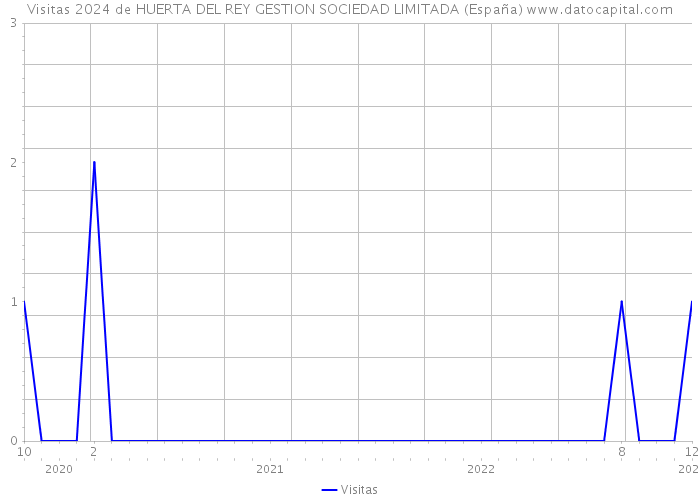 Visitas 2024 de HUERTA DEL REY GESTION SOCIEDAD LIMITADA (España) 