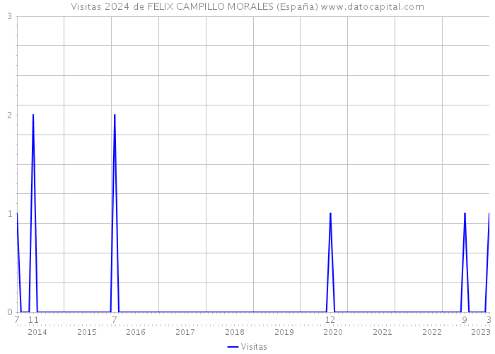 Visitas 2024 de FELIX CAMPILLO MORALES (España) 