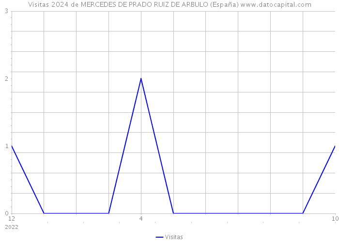 Visitas 2024 de MERCEDES DE PRADO RUIZ DE ARBULO (España) 