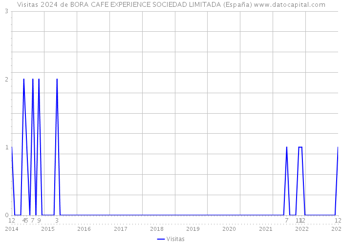 Visitas 2024 de BORA CAFE EXPERIENCE SOCIEDAD LIMITADA (España) 