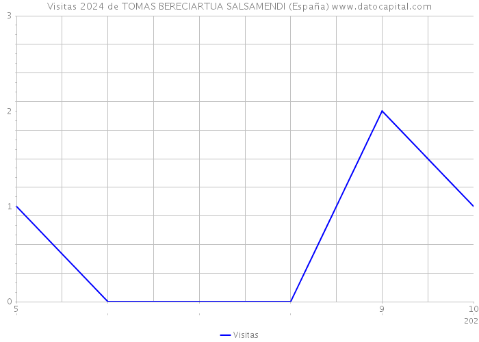 Visitas 2024 de TOMAS BERECIARTUA SALSAMENDI (España) 