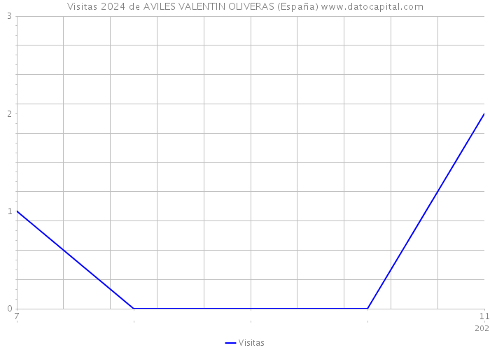 Visitas 2024 de AVILES VALENTIN OLIVERAS (España) 