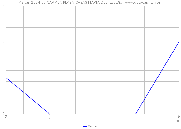 Visitas 2024 de CARMEN PLAZA CASAS MARIA DEL (España) 