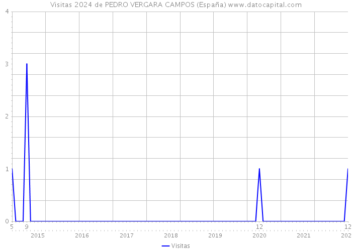 Visitas 2024 de PEDRO VERGARA CAMPOS (España) 