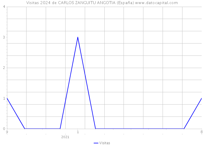 Visitas 2024 de CARLOS ZANGUITU ANGOTIA (España) 
