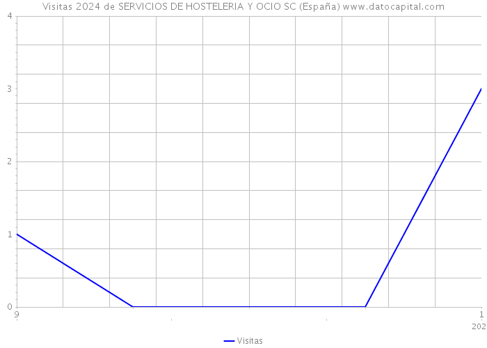 Visitas 2024 de SERVICIOS DE HOSTELERIA Y OCIO SC (España) 