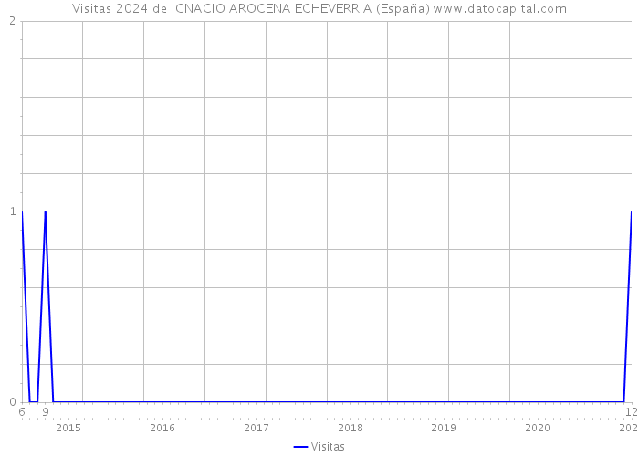 Visitas 2024 de IGNACIO AROCENA ECHEVERRIA (España) 