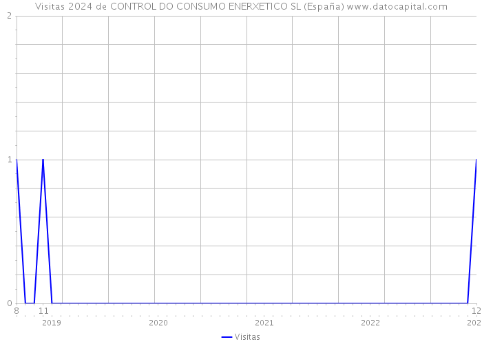 Visitas 2024 de CONTROL DO CONSUMO ENERXETICO SL (España) 