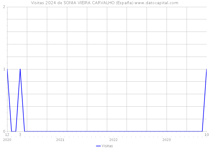 Visitas 2024 de SONIA VIEIRA CARVALHO (España) 