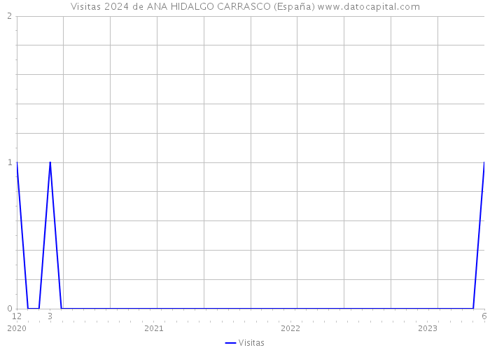 Visitas 2024 de ANA HIDALGO CARRASCO (España) 