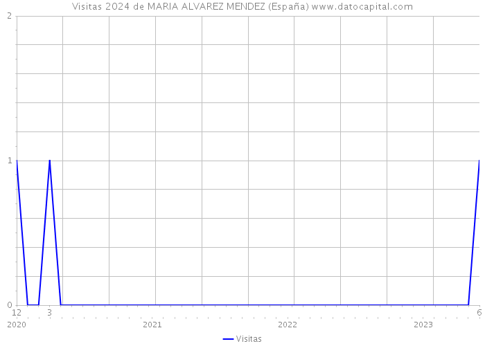 Visitas 2024 de MARIA ALVAREZ MENDEZ (España) 