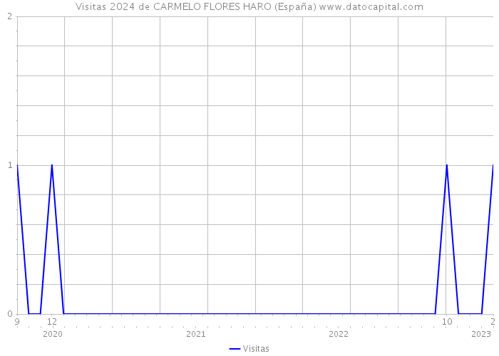 Visitas 2024 de CARMELO FLORES HARO (España) 