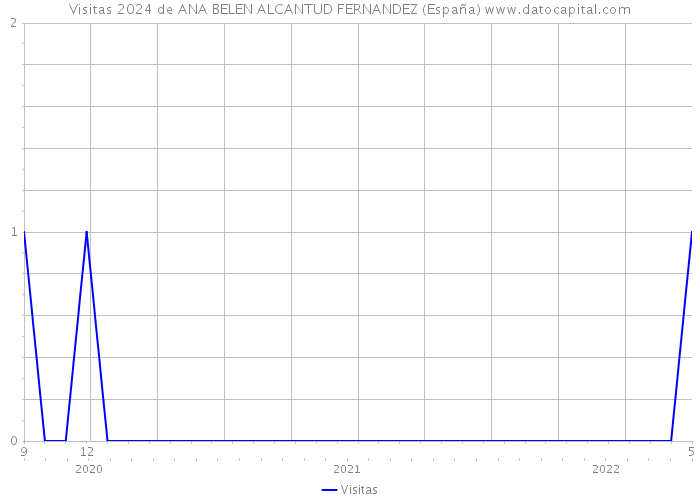 Visitas 2024 de ANA BELEN ALCANTUD FERNANDEZ (España) 