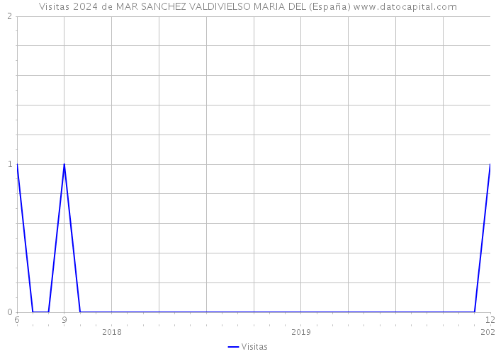 Visitas 2024 de MAR SANCHEZ VALDIVIELSO MARIA DEL (España) 