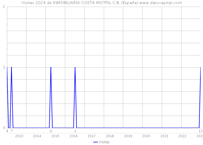 Visitas 2024 de INMOBILIARIA COSTA MOTRIL C.B. (España) 