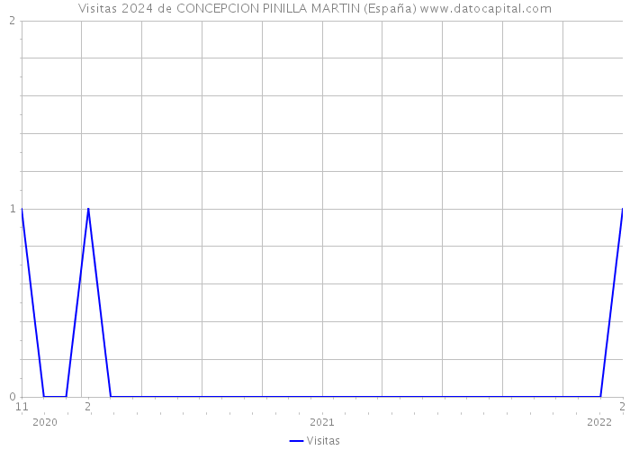 Visitas 2024 de CONCEPCION PINILLA MARTIN (España) 
