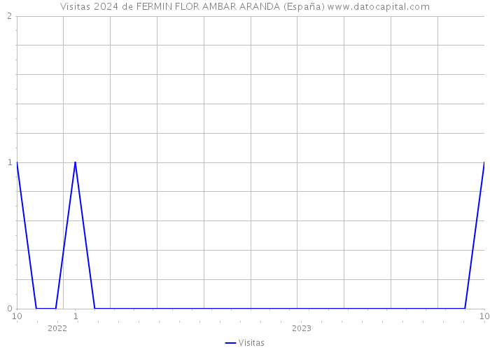 Visitas 2024 de FERMIN FLOR AMBAR ARANDA (España) 