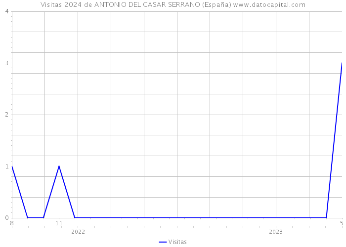 Visitas 2024 de ANTONIO DEL CASAR SERRANO (España) 