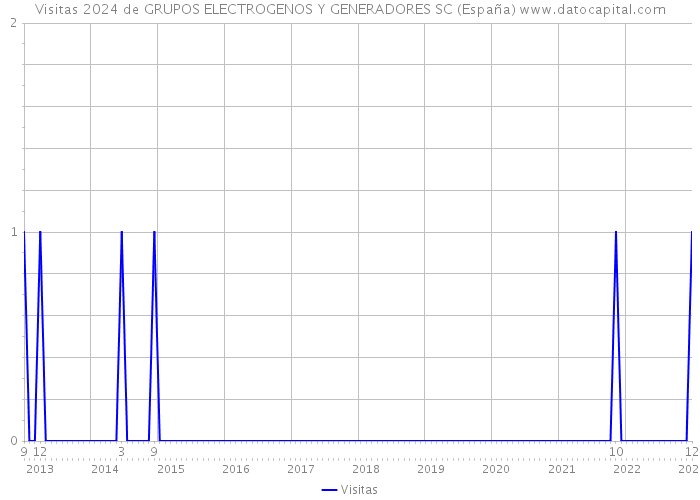Visitas 2024 de GRUPOS ELECTROGENOS Y GENERADORES SC (España) 