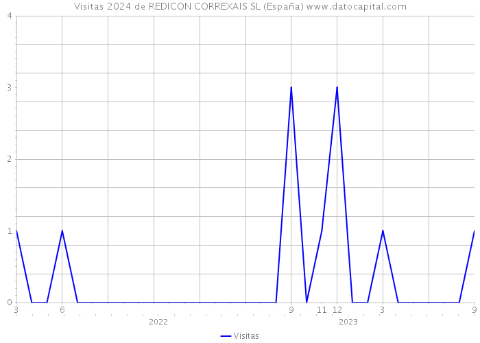 Visitas 2024 de REDICON CORREXAIS SL (España) 