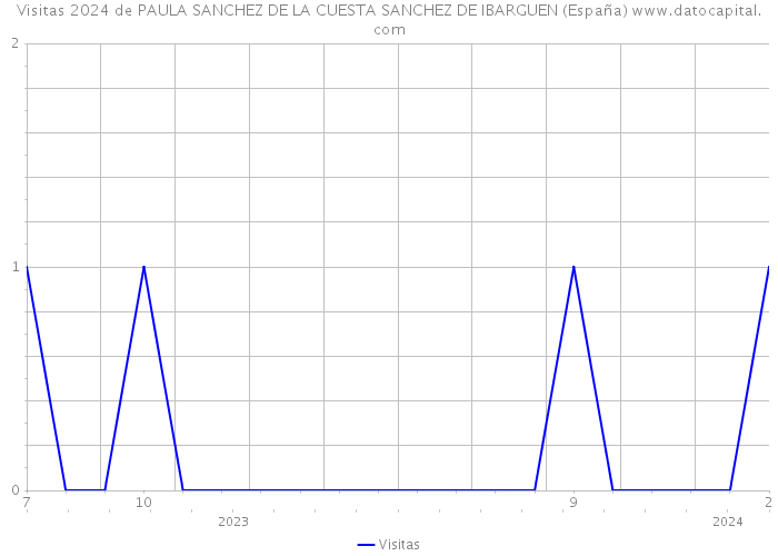 Visitas 2024 de PAULA SANCHEZ DE LA CUESTA SANCHEZ DE IBARGUEN (España) 