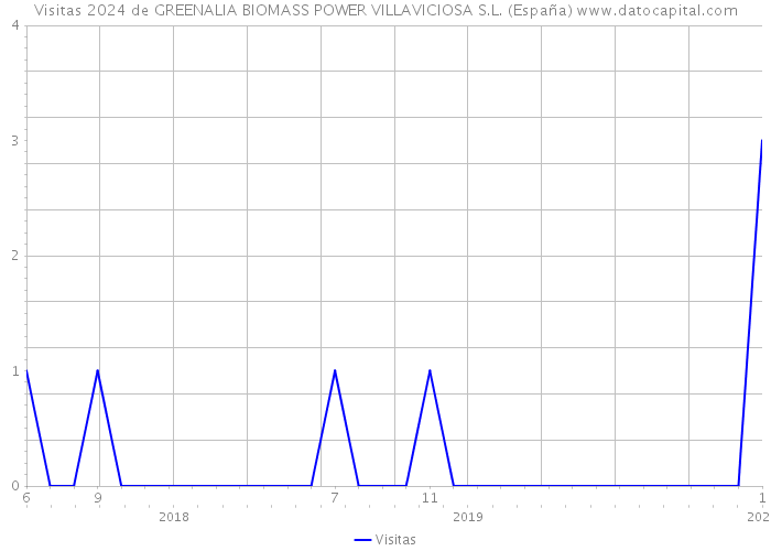 Visitas 2024 de GREENALIA BIOMASS POWER VILLAVICIOSA S.L. (España) 