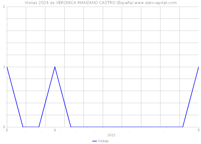 Visitas 2024 de VERONICA MANZANO CASTRO (España) 