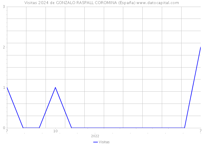 Visitas 2024 de GONZALO RASPALL COROMINA (España) 
