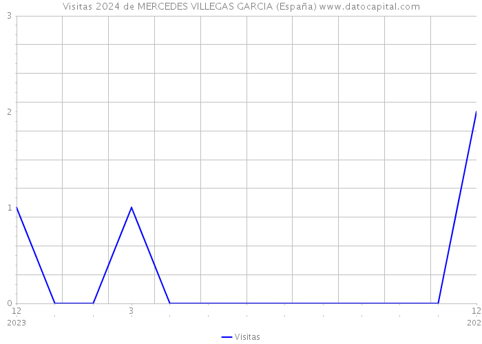 Visitas 2024 de MERCEDES VILLEGAS GARCIA (España) 