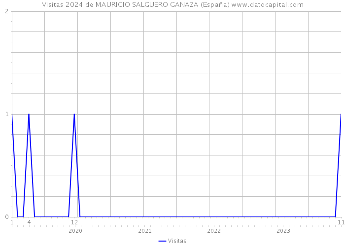 Visitas 2024 de MAURICIO SALGUERO GANAZA (España) 