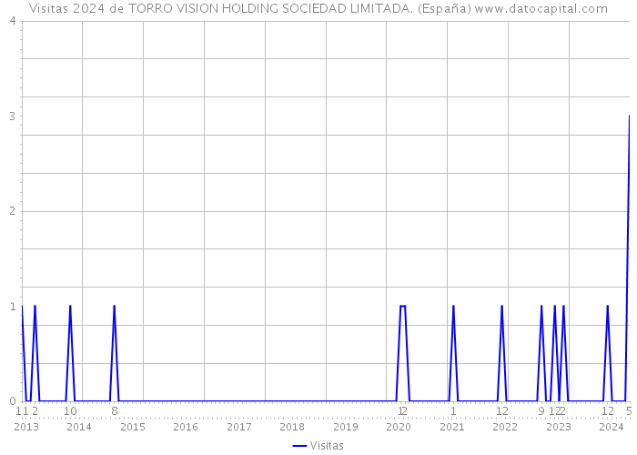 Visitas 2024 de TORRO VISION HOLDING SOCIEDAD LIMITADA. (España) 