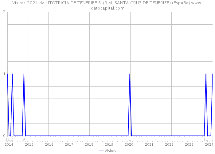 Visitas 2024 de LITOTRICIA DE TENERIFE SL(R.M. SANTA CRUZ DE TENERIFE) (España) 