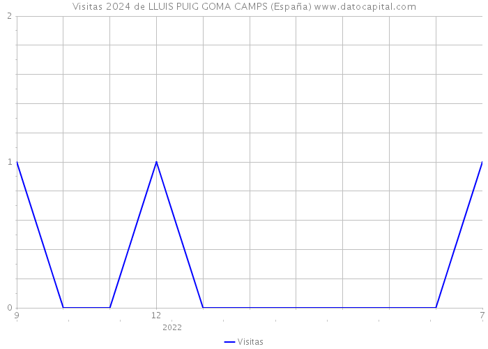 Visitas 2024 de LLUIS PUIG GOMA CAMPS (España) 