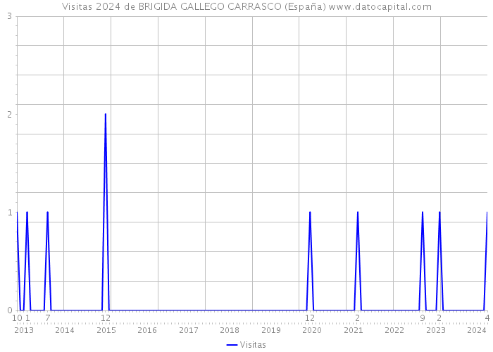 Visitas 2024 de BRIGIDA GALLEGO CARRASCO (España) 