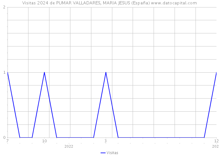 Visitas 2024 de PUMAR VALLADARES, MARIA JESUS (España) 