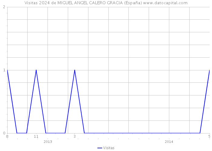 Visitas 2024 de MIGUEL ANGEL CALERO GRACIA (España) 