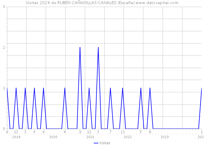 Visitas 2024 de RUBEN CAÑADILLAS CANALES (España) 