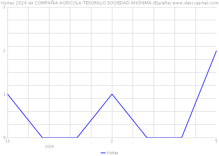 Visitas 2024 de COMPAÑIA AGRICOLA TESORILLO SOCIEDAD ANÓNIMA (España) 