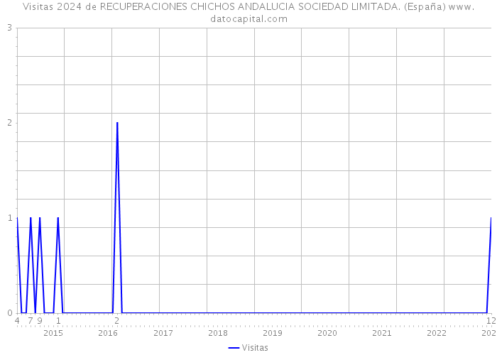 Visitas 2024 de RECUPERACIONES CHICHOS ANDALUCIA SOCIEDAD LIMITADA. (España) 