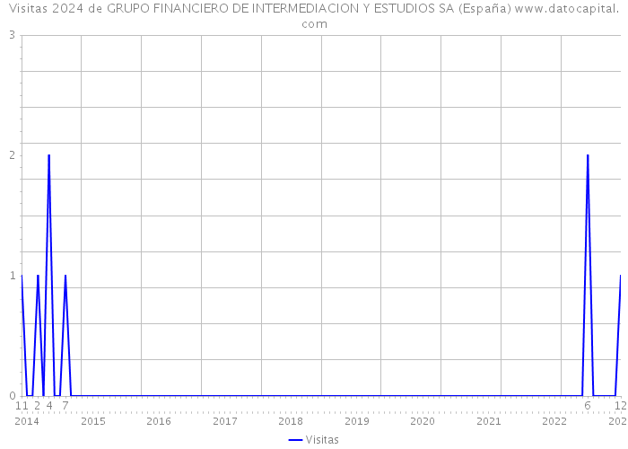 Visitas 2024 de GRUPO FINANCIERO DE INTERMEDIACION Y ESTUDIOS SA (España) 